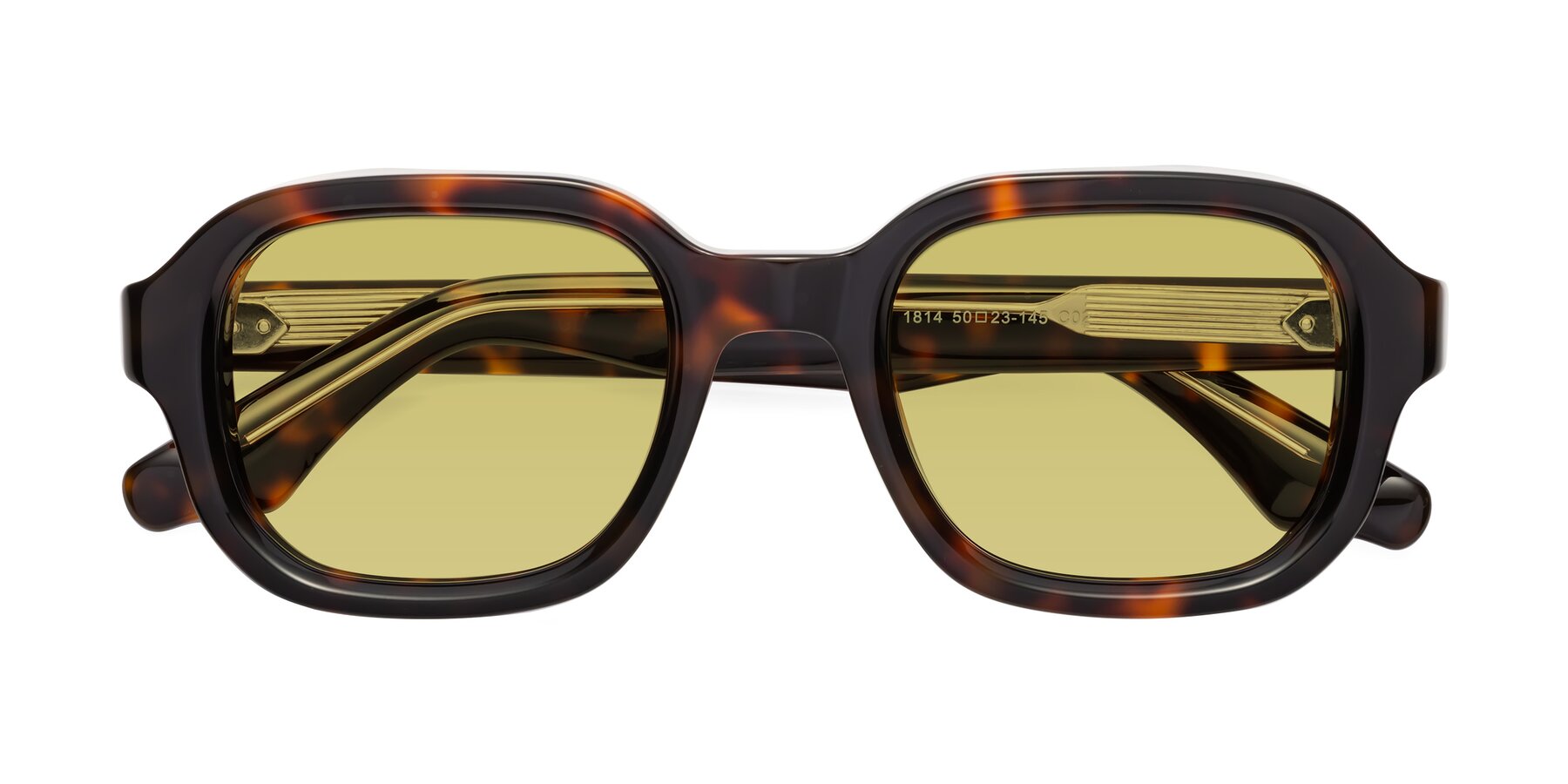 Folded Front of Unite in Tortoise with Medium Champagne Tinted Lenses