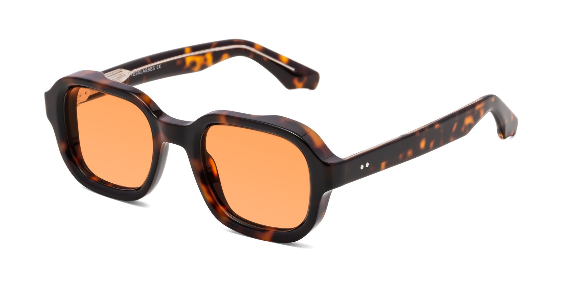 Angle of Unite in Tortoise with Medium Orange Tinted Lenses