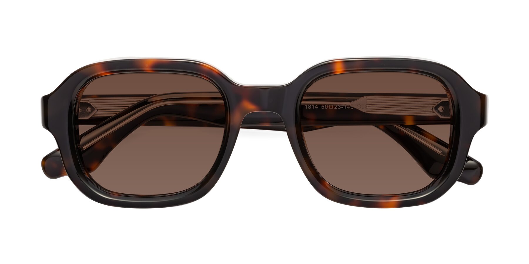 Folded Front of Unite in Tortoise with Brown Tinted Lenses