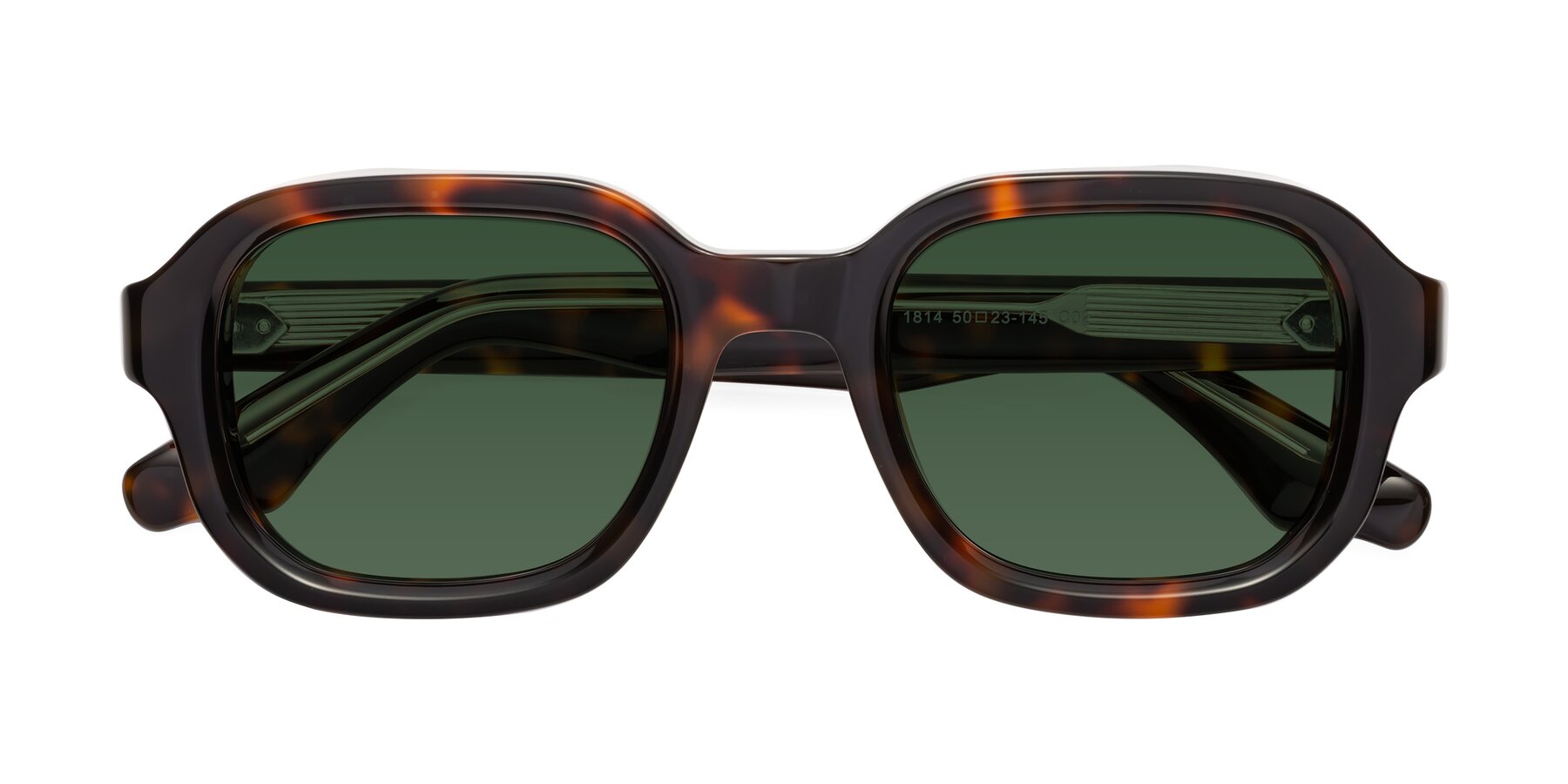 Folded Front of Unite in Tortoise with Green Tinted Lenses