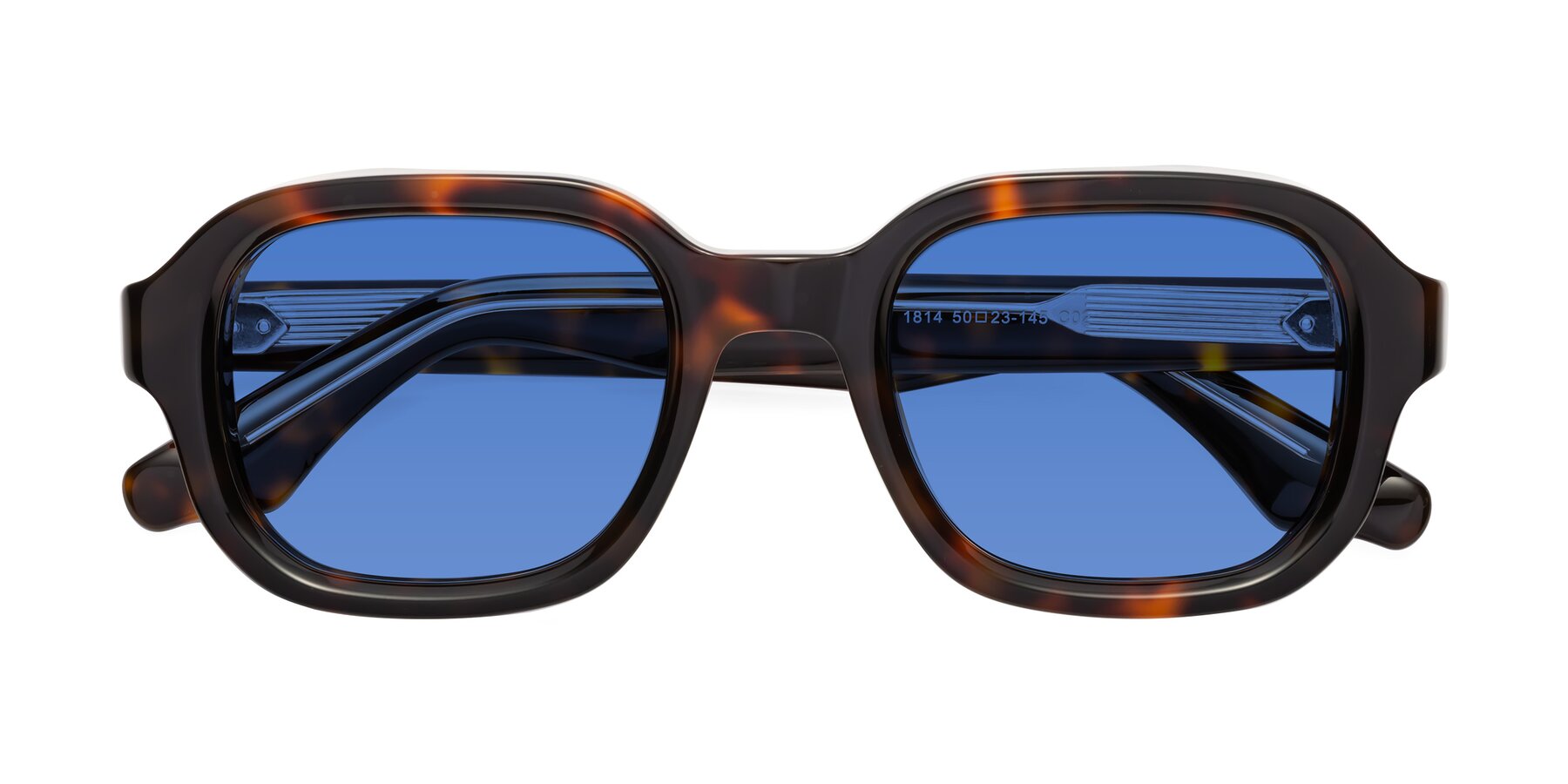 Folded Front of Unite in Tortoise with Blue Tinted Lenses