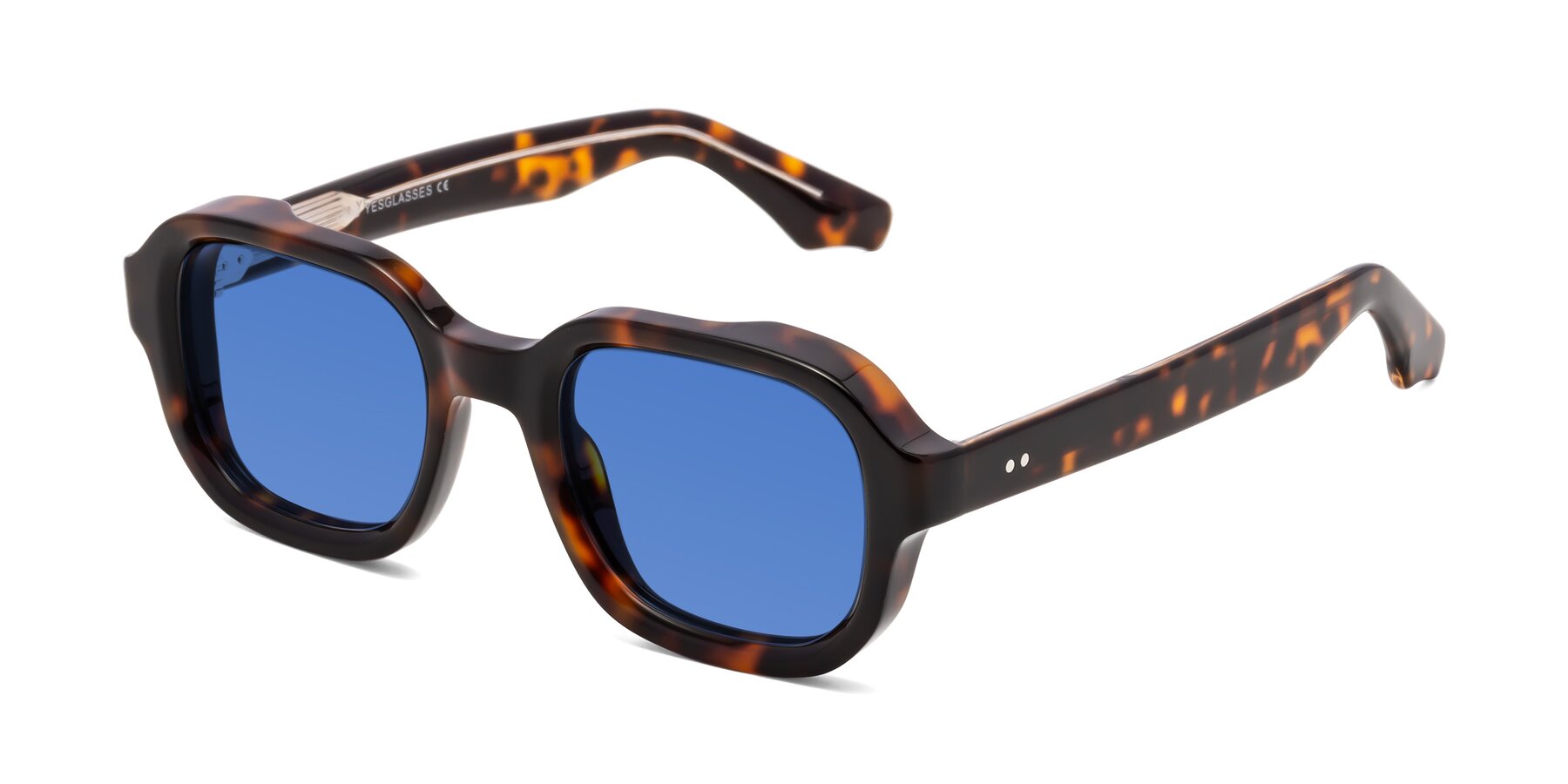 Angle of Unite in Tortoise with Blue Tinted Lenses