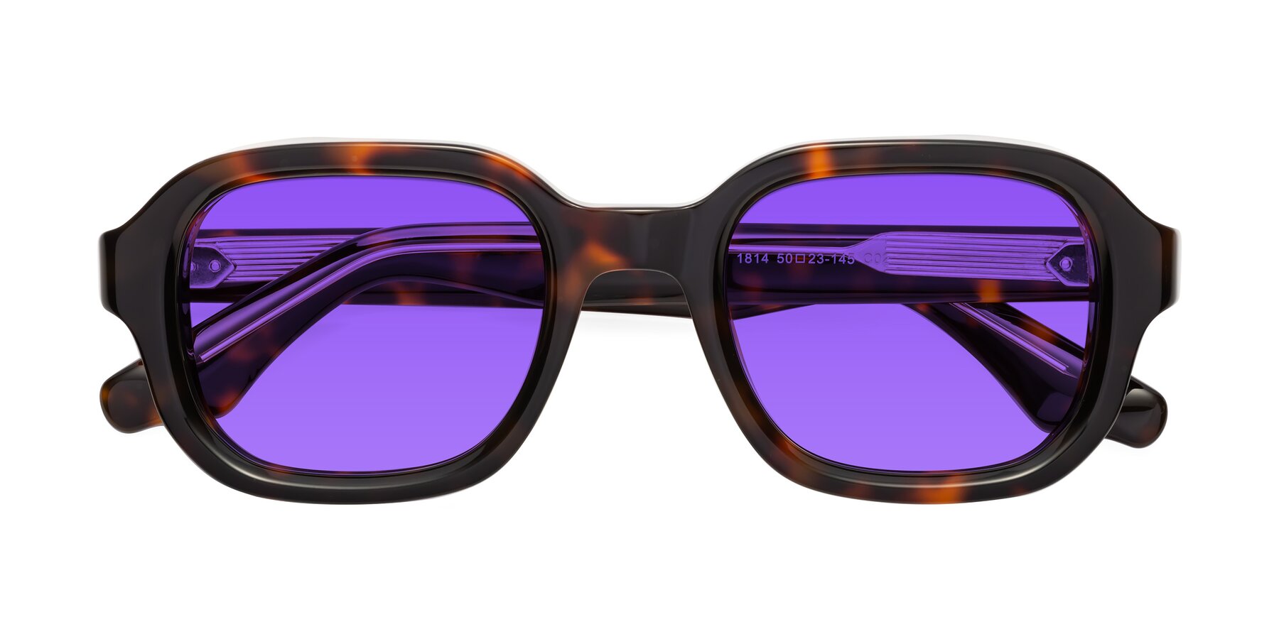 Folded Front of Unite in Tortoise with Purple Tinted Lenses