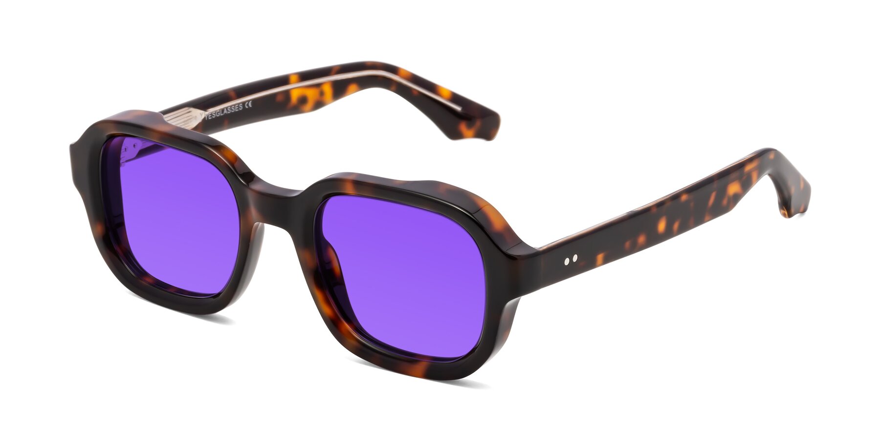 Angle of Unite in Tortoise with Purple Tinted Lenses