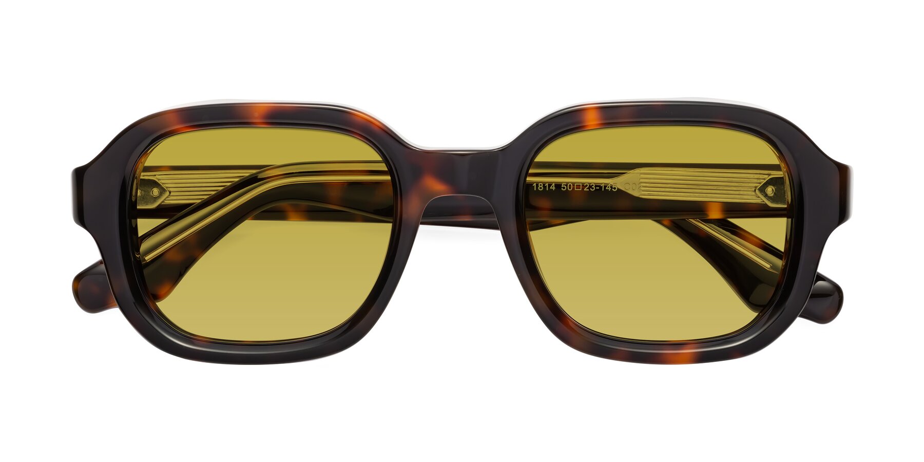 Folded Front of Unite in Tortoise with Champagne Tinted Lenses