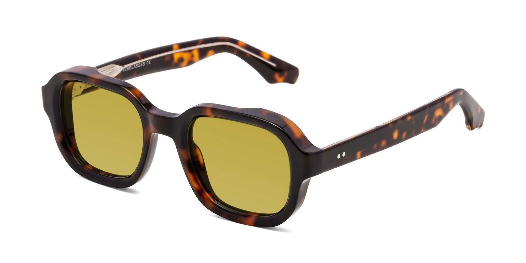 Angle of Unite in Tortoise with Champagne Tinted Lenses