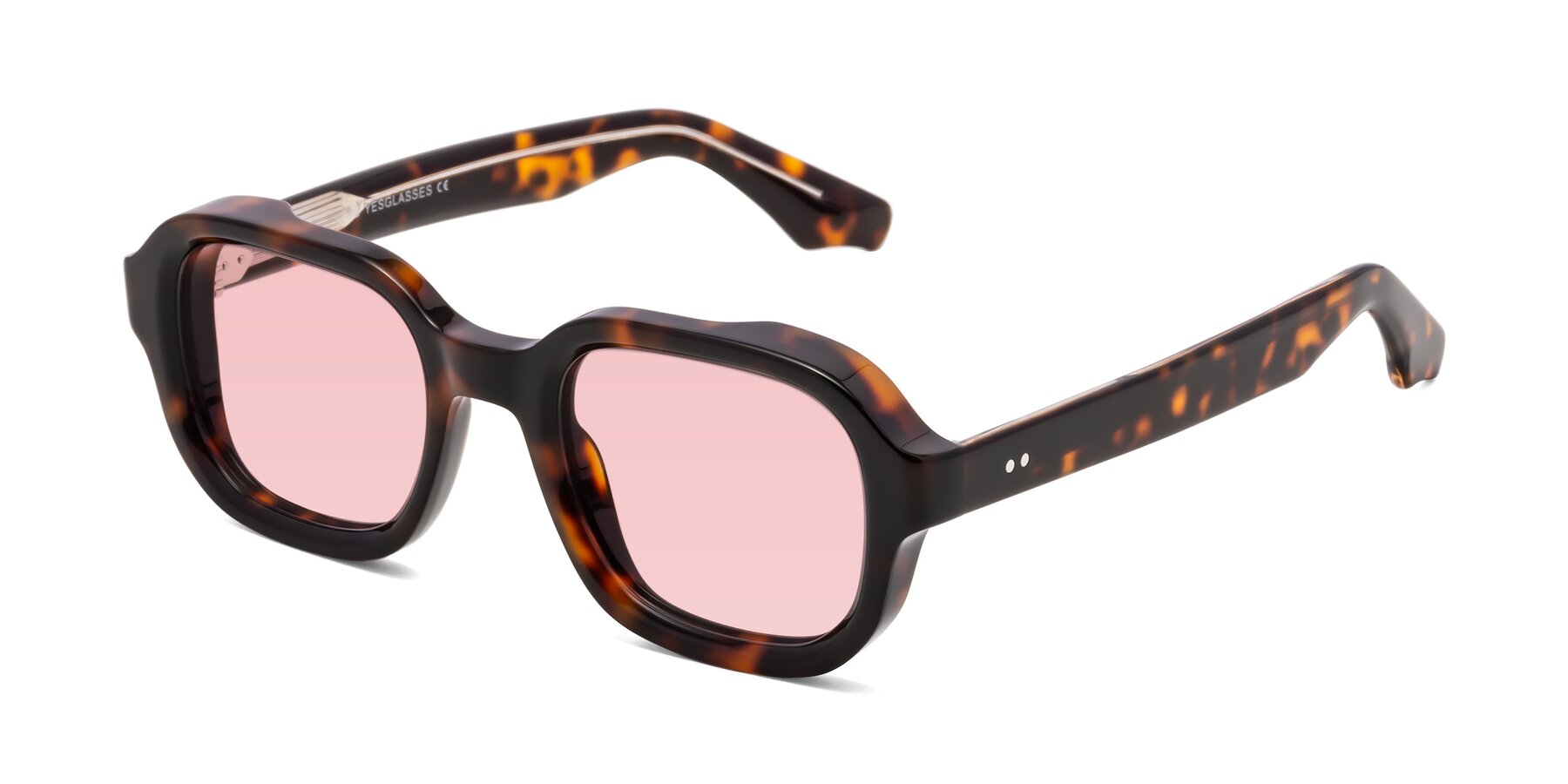 Angle of Unite in Tortoise with Light Garnet Tinted Lenses