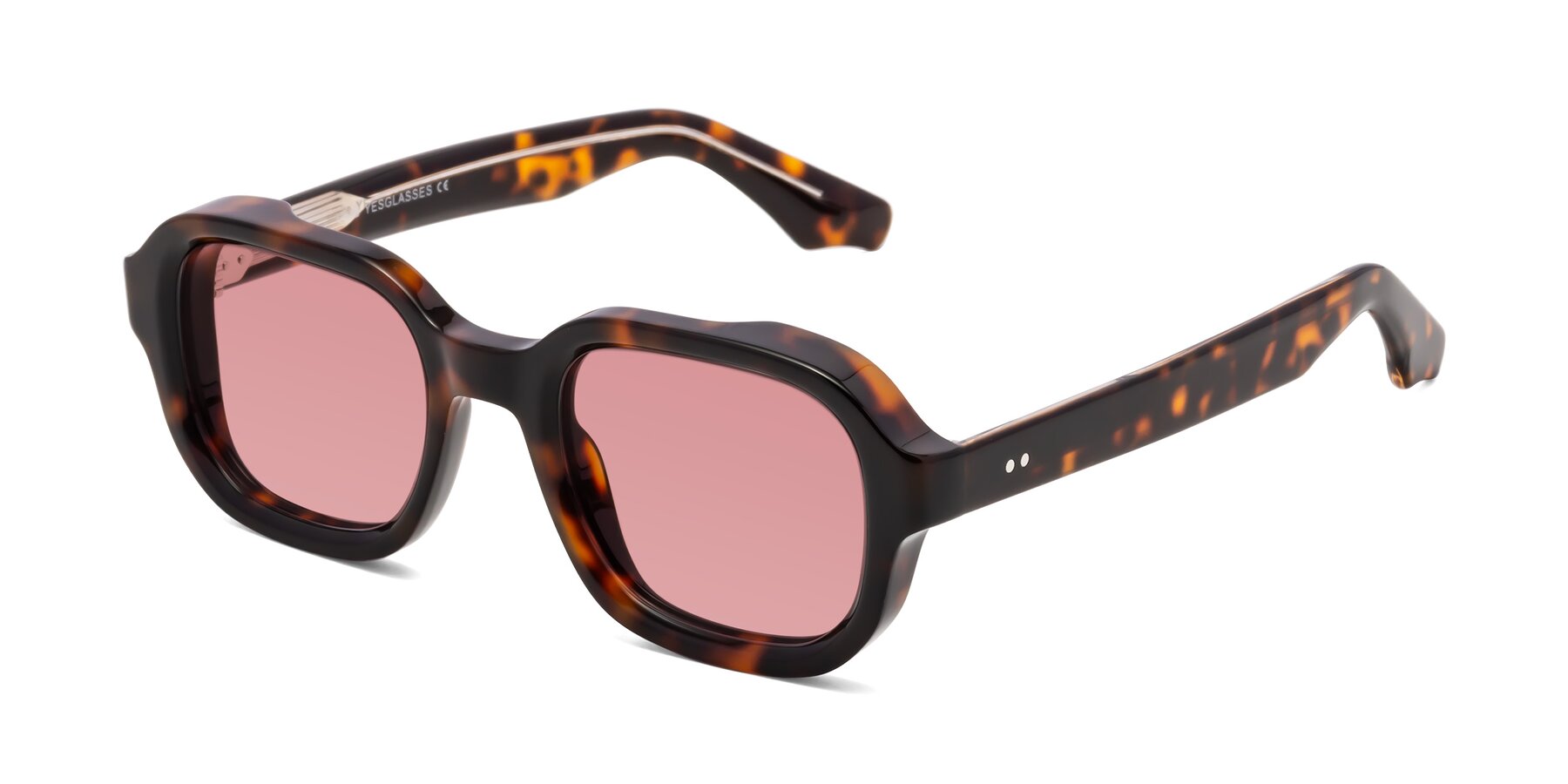 Angle of Unite in Tortoise with Medium Garnet Tinted Lenses