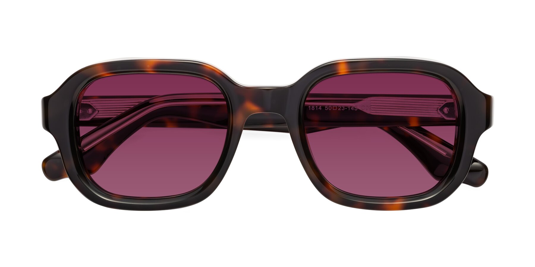 Folded Front of Unite in Tortoise with Wine Tinted Lenses