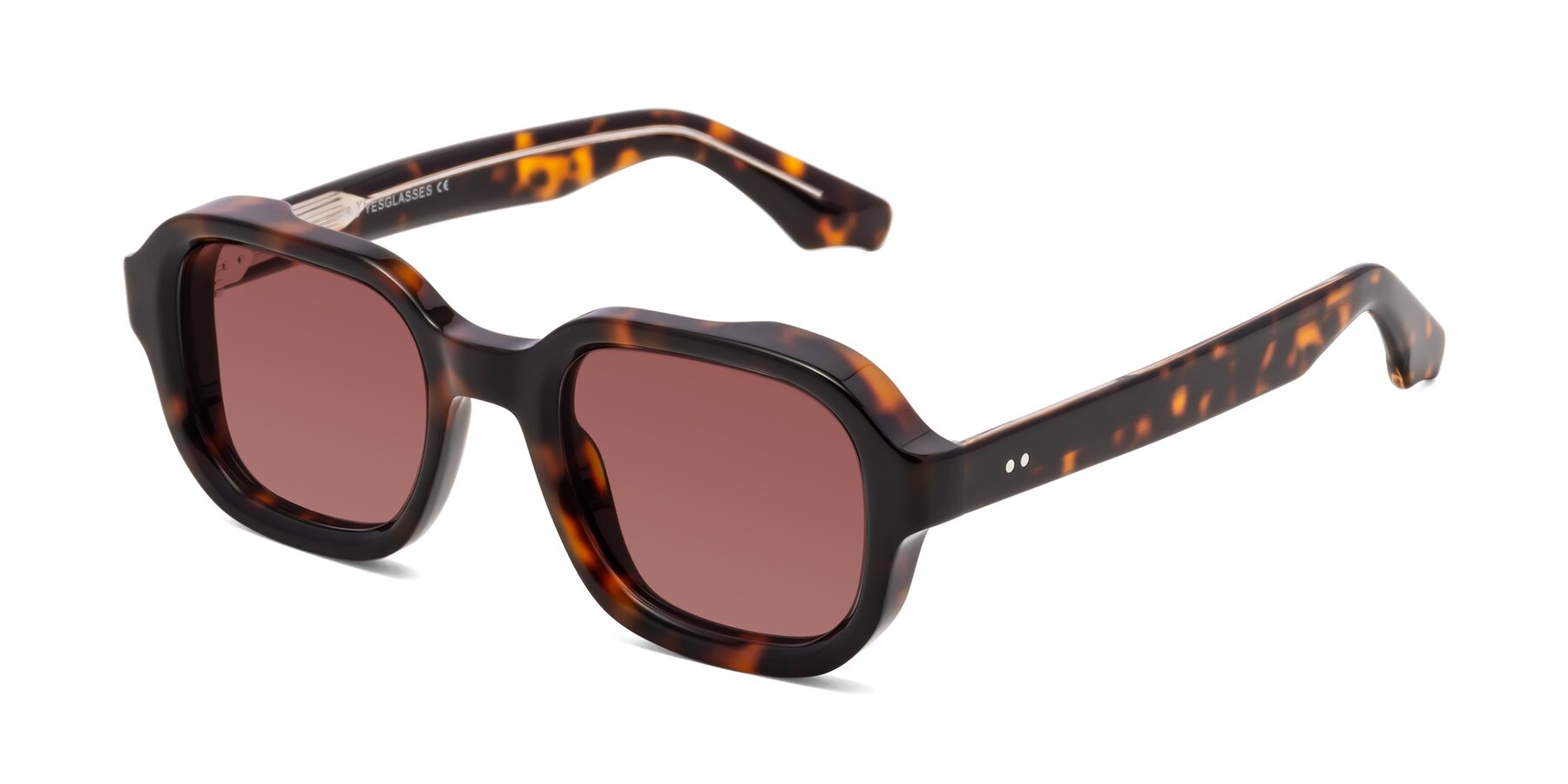 Angle of Unite in Tortoise with Garnet Tinted Lenses