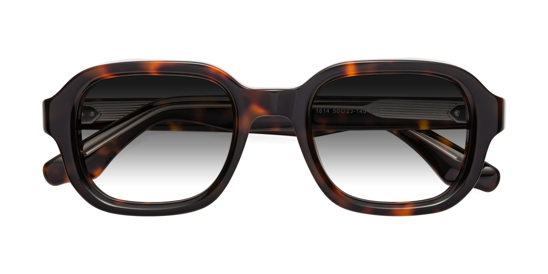 Folded Front of Unite in Tortoise with Gray Gradient Lenses