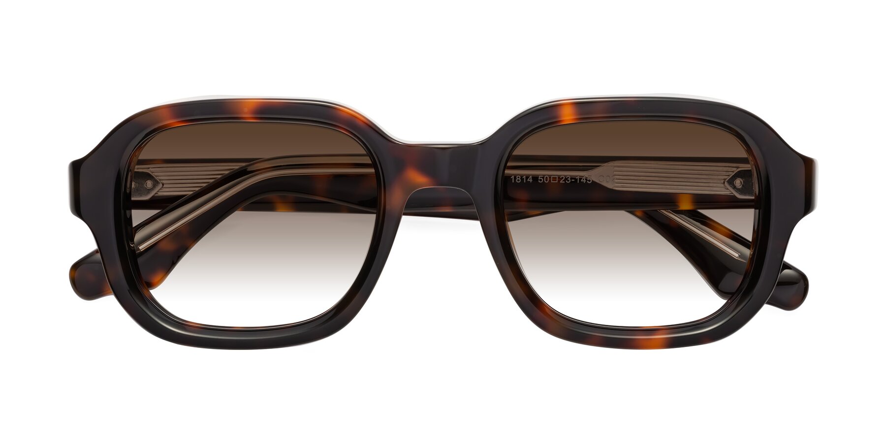 Folded Front of Unite in Tortoise with Brown Gradient Lenses