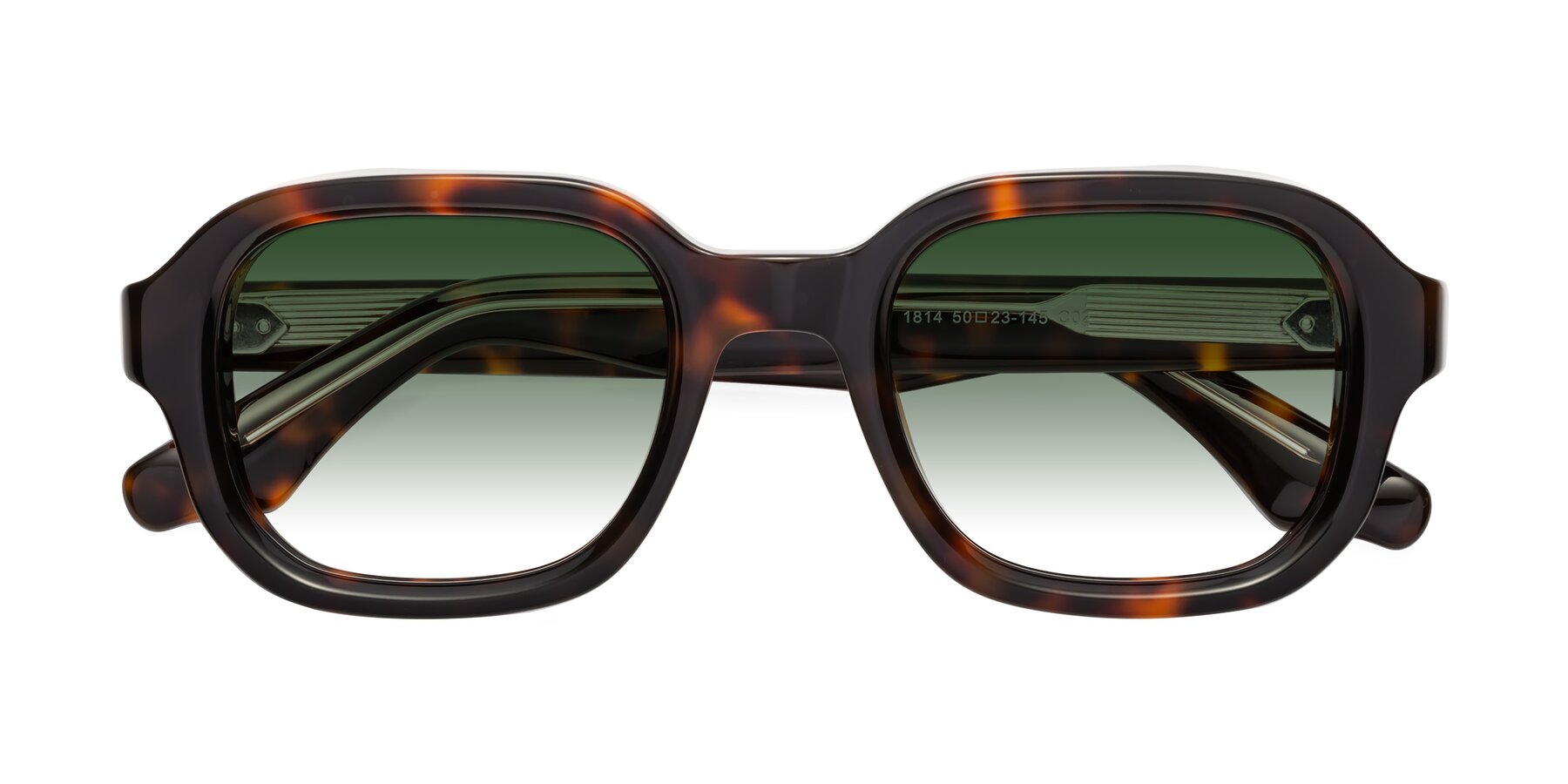 Folded Front of Unite in Tortoise with Green Gradient Lenses