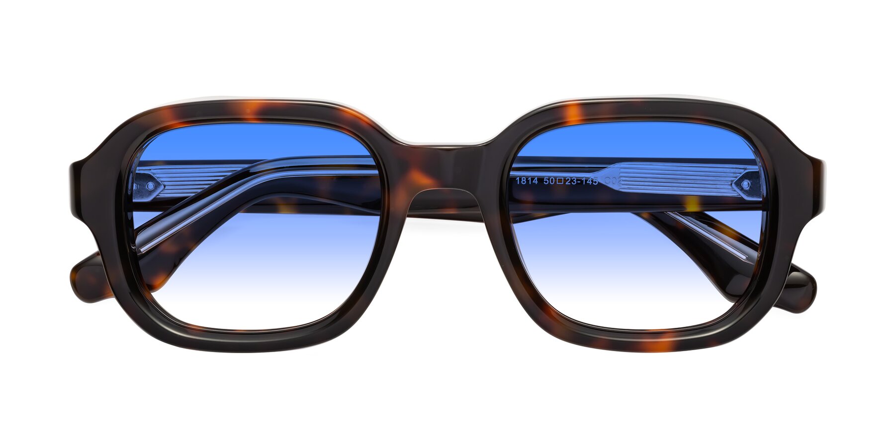 Folded Front of Unite in Tortoise with Blue Gradient Lenses