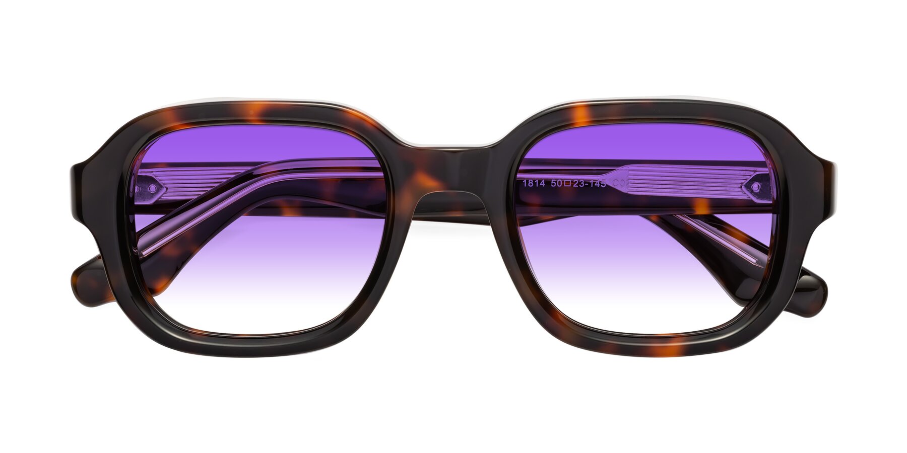 Folded Front of Unite in Tortoise with Purple Gradient Lenses