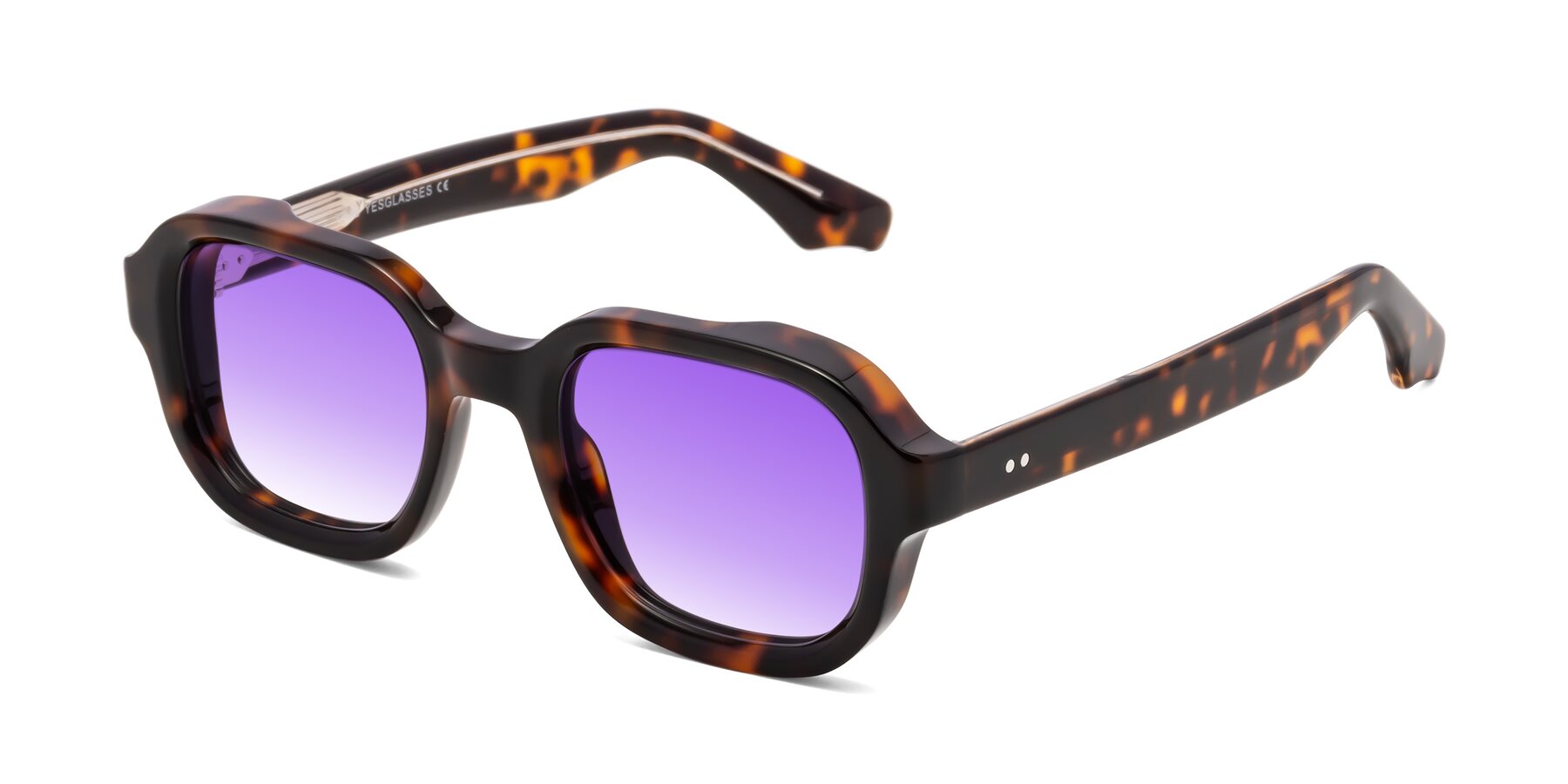 Angle of Unite in Tortoise with Purple Gradient Lenses