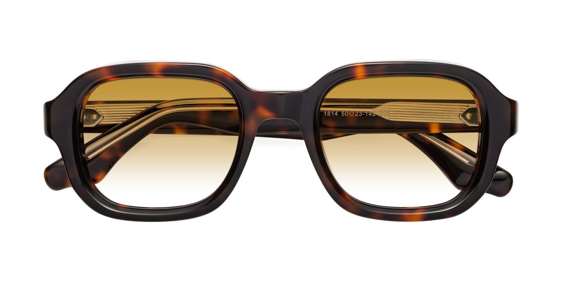 Folded Front of Unite in Tortoise with Champagne Gradient Lenses