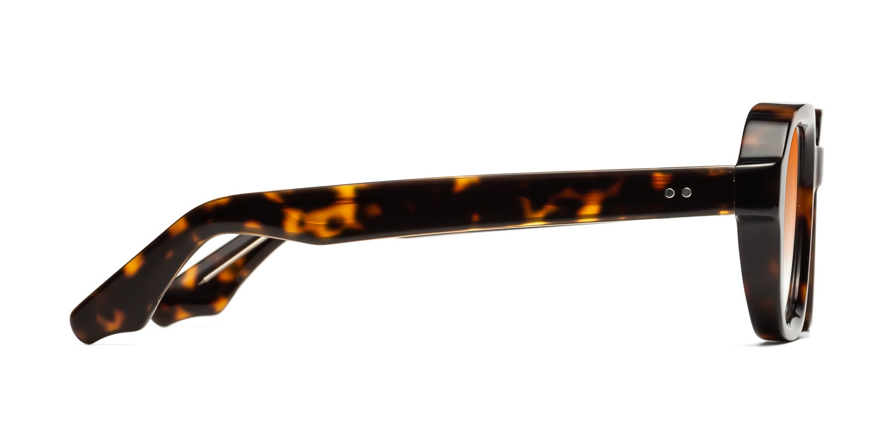 Side of Unite in Tortoise with Orange Gradient Lenses