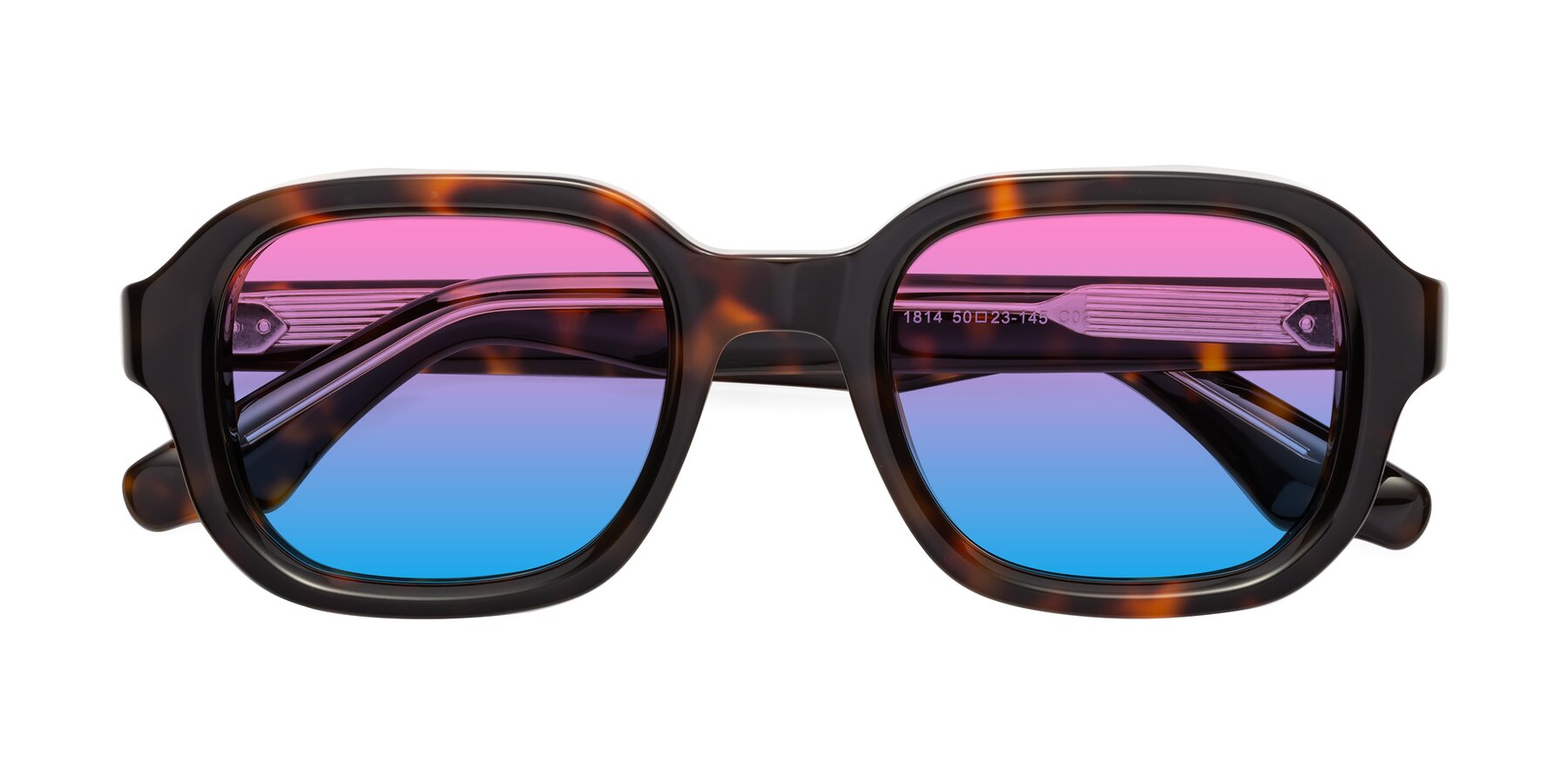 Folded Front of Unite in Tortoise with Pink / Blue Gradient Lenses