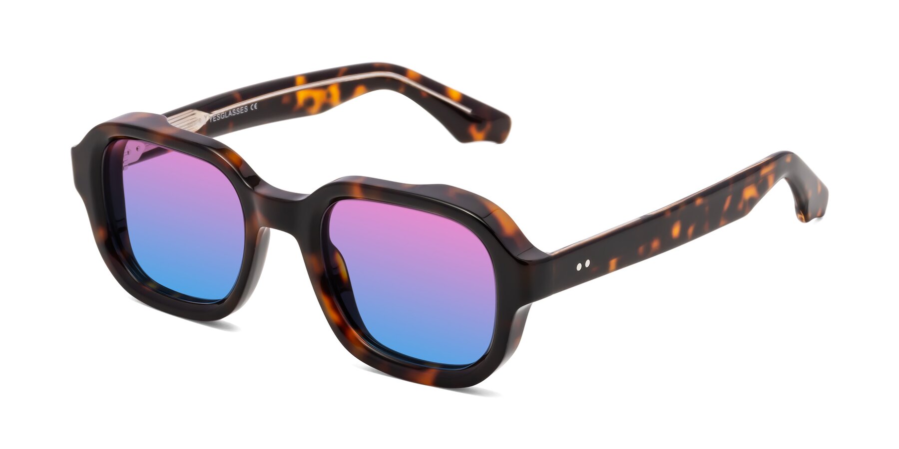 Angle of Unite in Tortoise with Pink / Blue Gradient Lenses