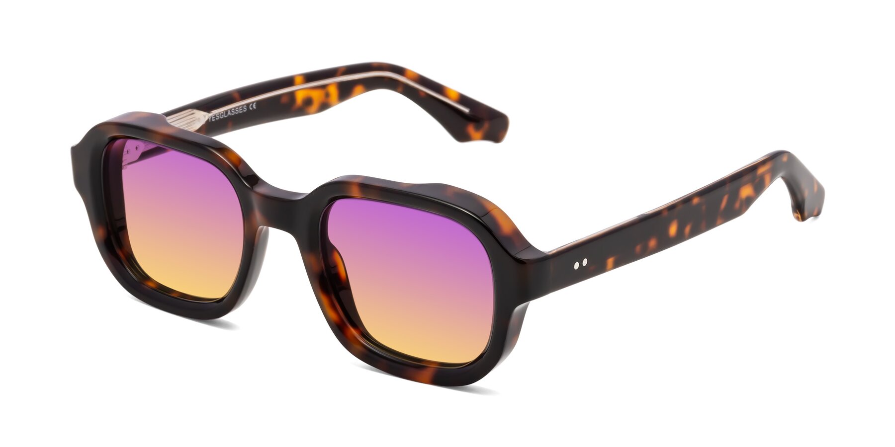 Angle of Unite in Tortoise with Purple / Yellow Gradient Lenses