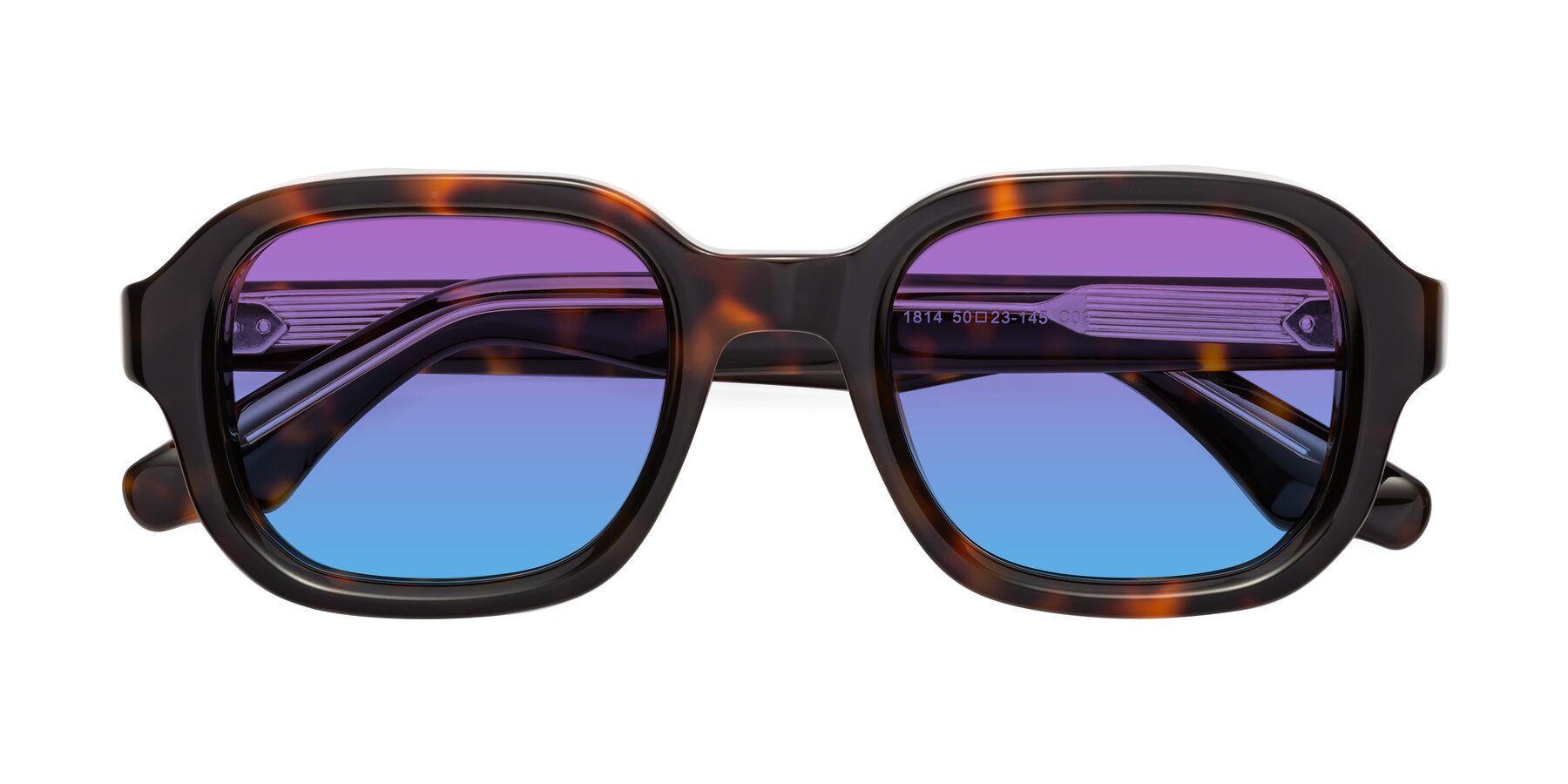 Folded Front of Unite in Tortoise with Purple / Blue Gradient Lenses