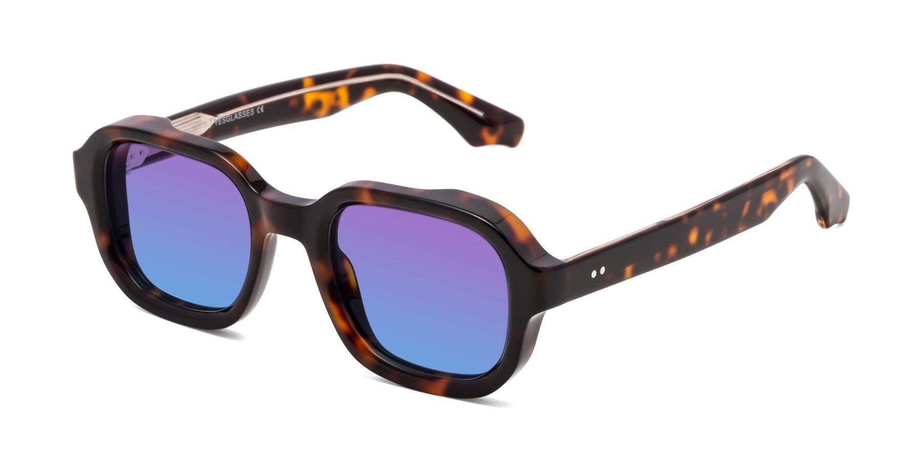 Angle of Unite in Tortoise with Purple / Blue Gradient Lenses