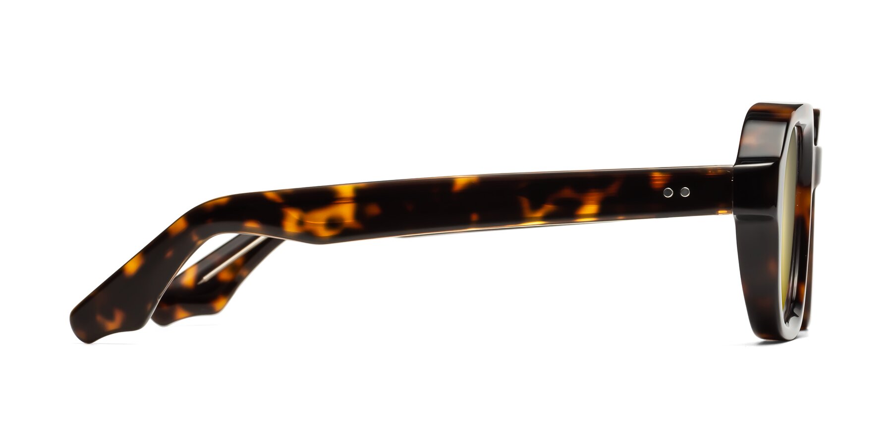 Side of Unite in Tortoise with Gold Mirrored Lenses