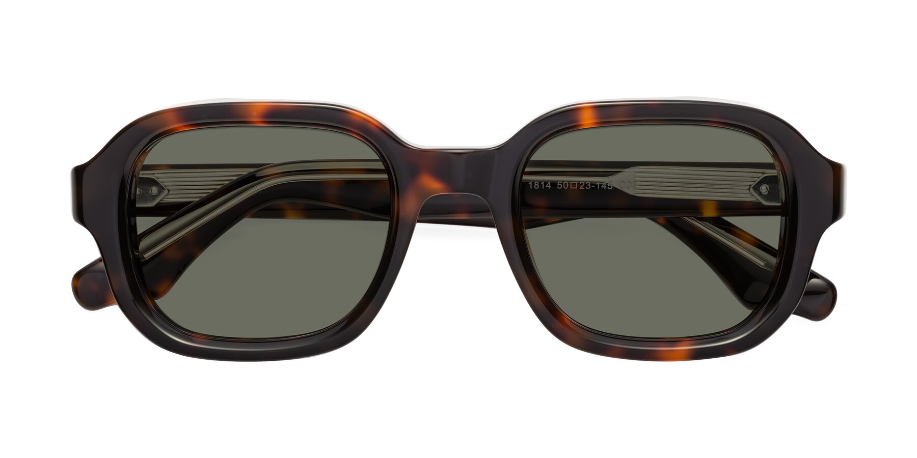 Folded Front of Unite in Tortoise with Gray Polarized Lenses