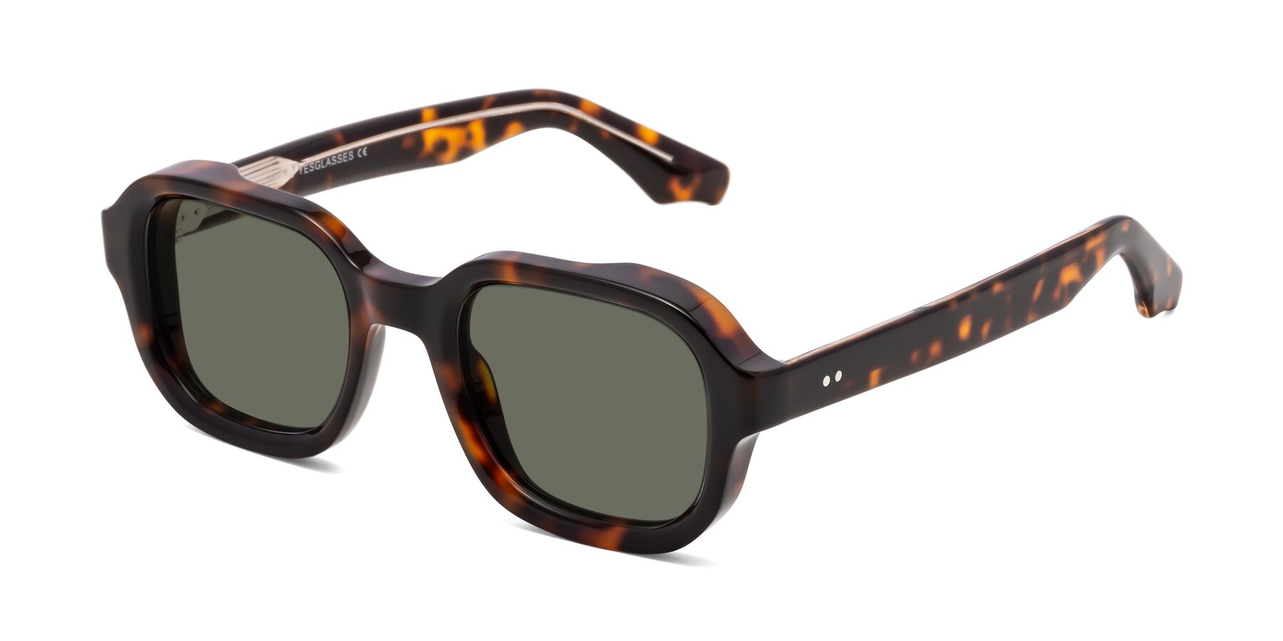Angle of Unite in Tortoise with Gray Polarized Lenses