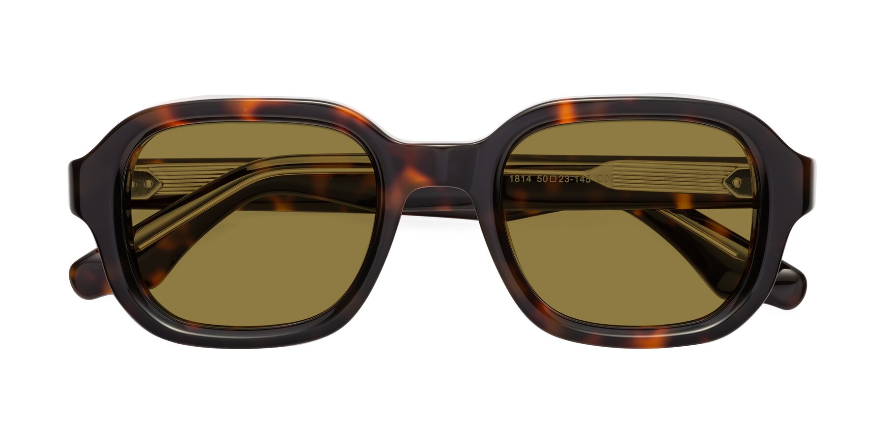 Folded Front of Unite in Tortoise with Brown Polarized Lenses