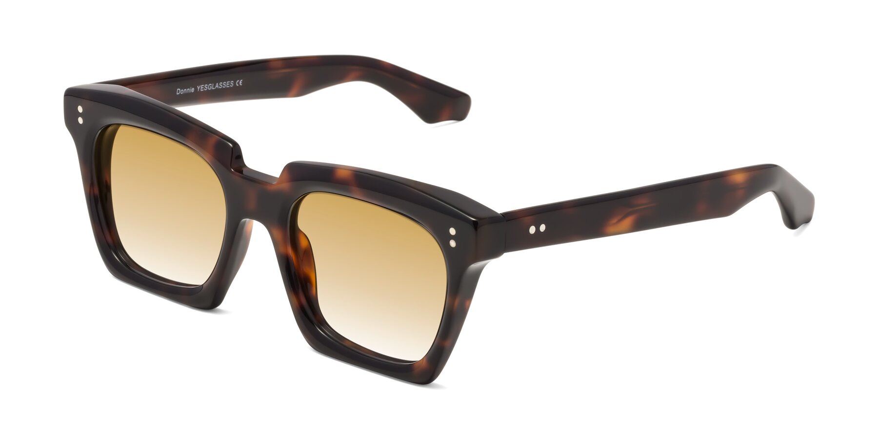 Angle of Donnie in Tortoise with Champagne Gradient Lenses