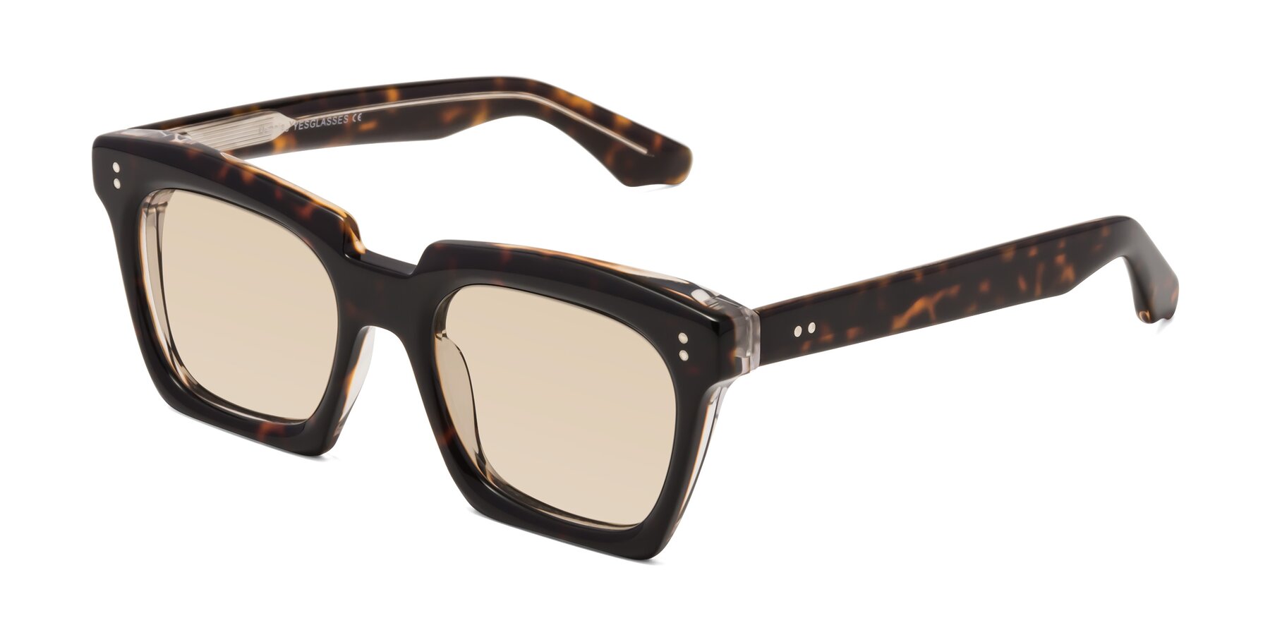 Angle of Donnie in Tortoise-Clear with Light Brown Tinted Lenses