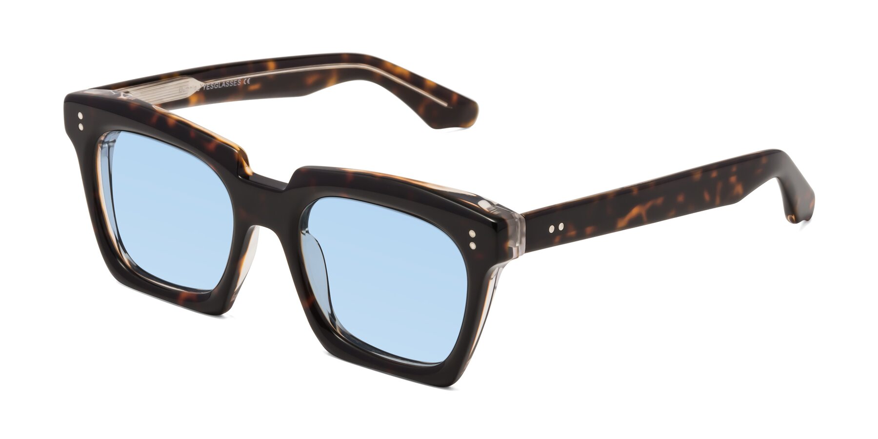 Angle of Donnie in Tortoise-Clear with Light Blue Tinted Lenses