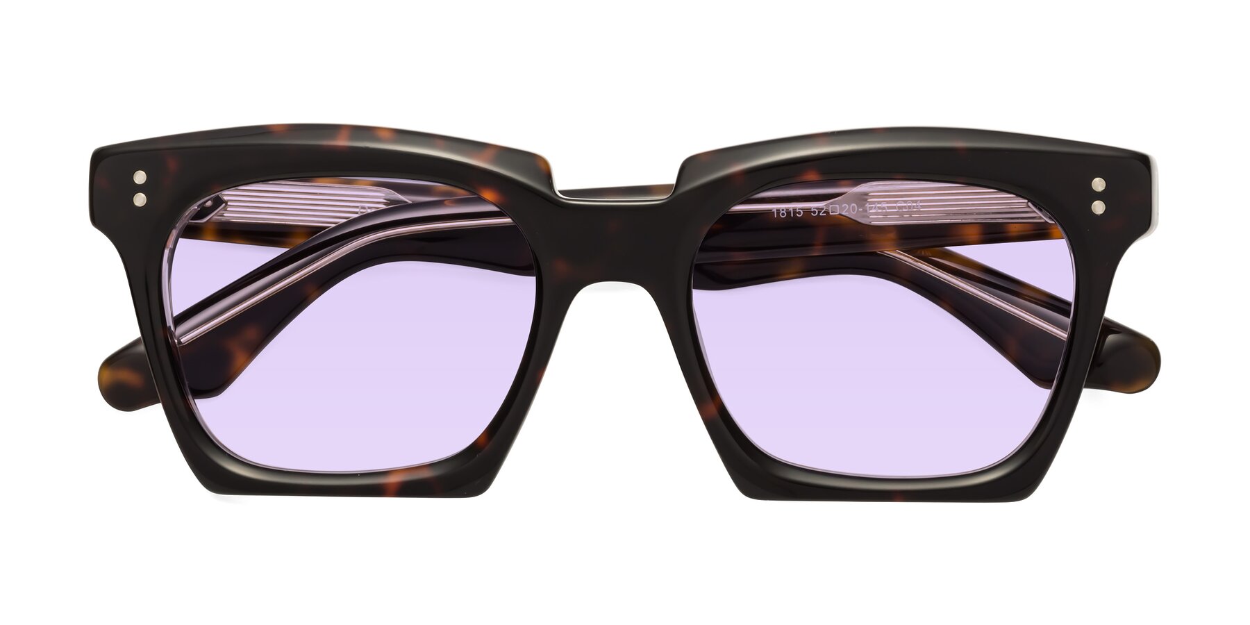 Folded Front of Donnie in Tortoise-Clear with Light Purple Tinted Lenses