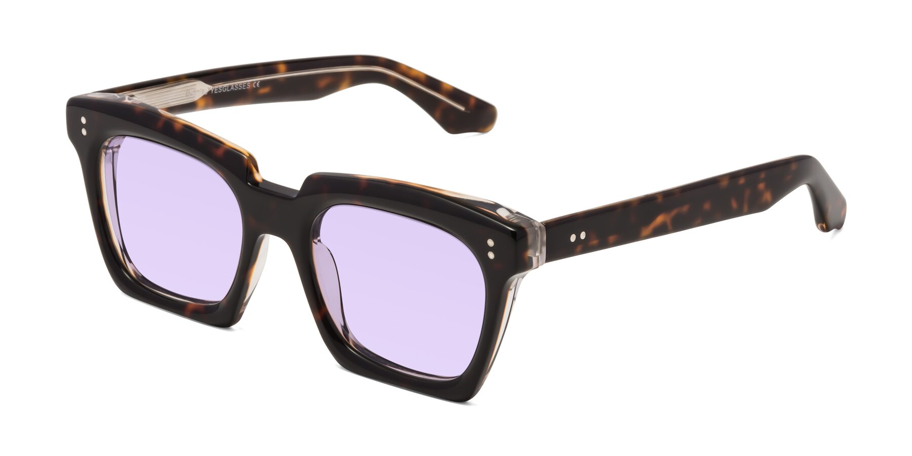 Angle of Donnie in Tortoise-Clear with Light Purple Tinted Lenses