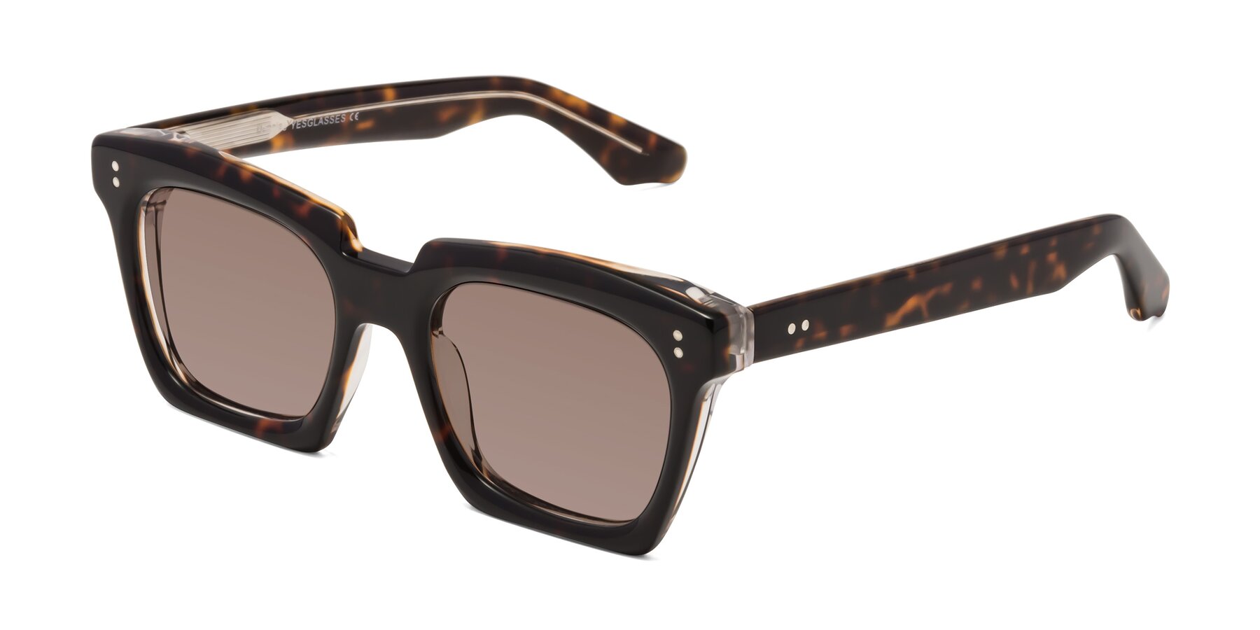 Angle of Donnie in Tortoise-Clear with Medium Brown Tinted Lenses