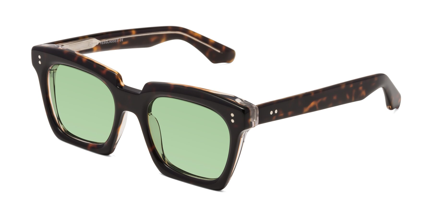 Angle of Donnie in Tortoise-Clear with Medium Green Tinted Lenses