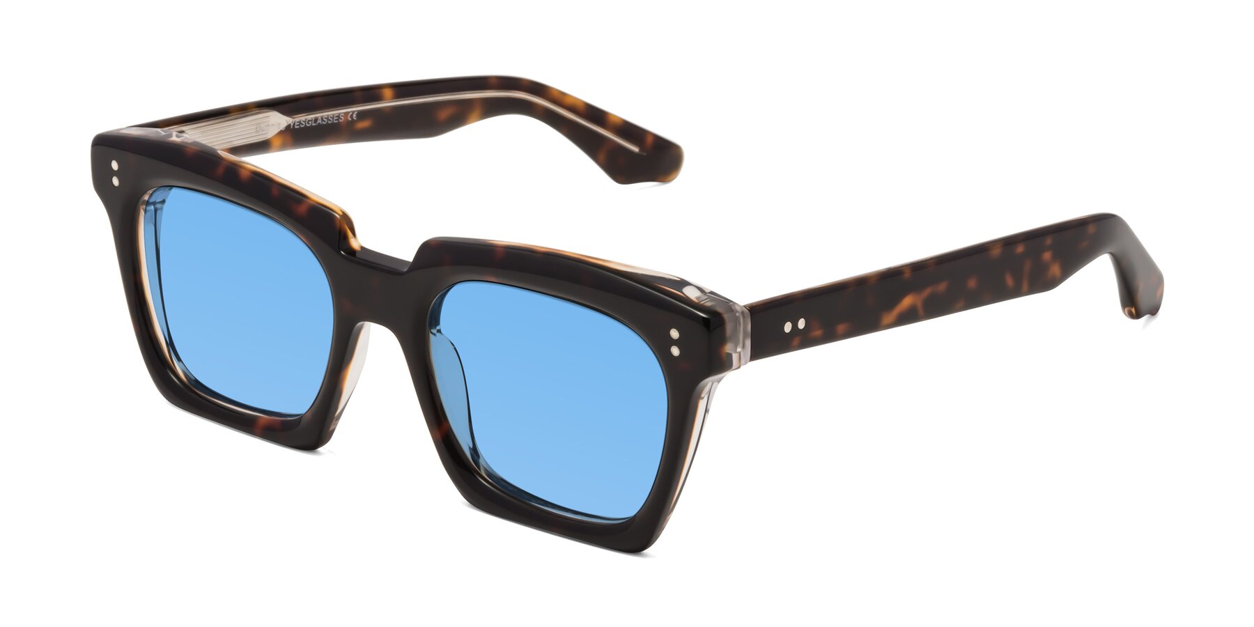 Angle of Donnie in Tortoise-Clear with Medium Blue Tinted Lenses