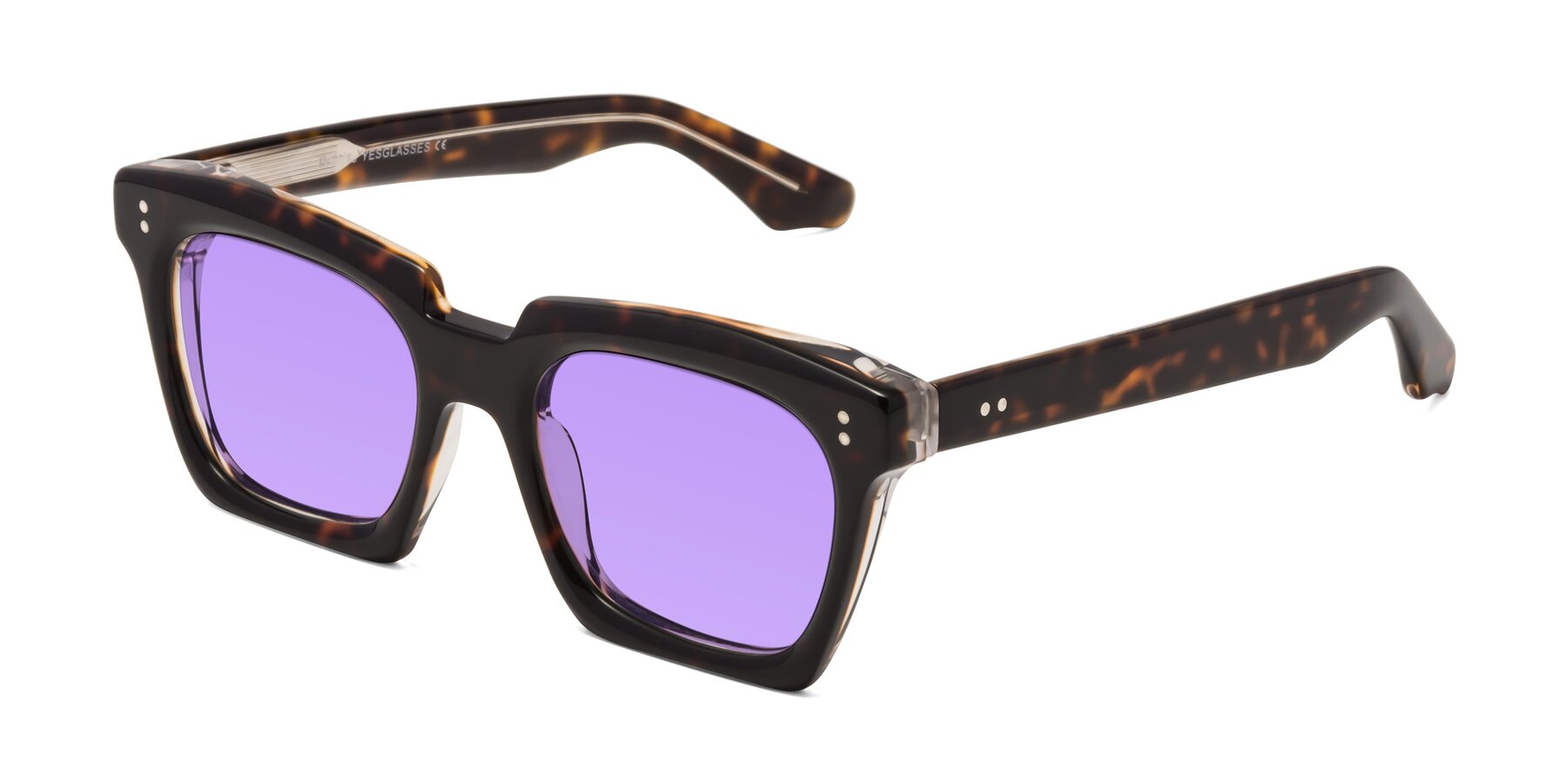 Angle of Donnie in Tortoise-Clear with Medium Purple Tinted Lenses