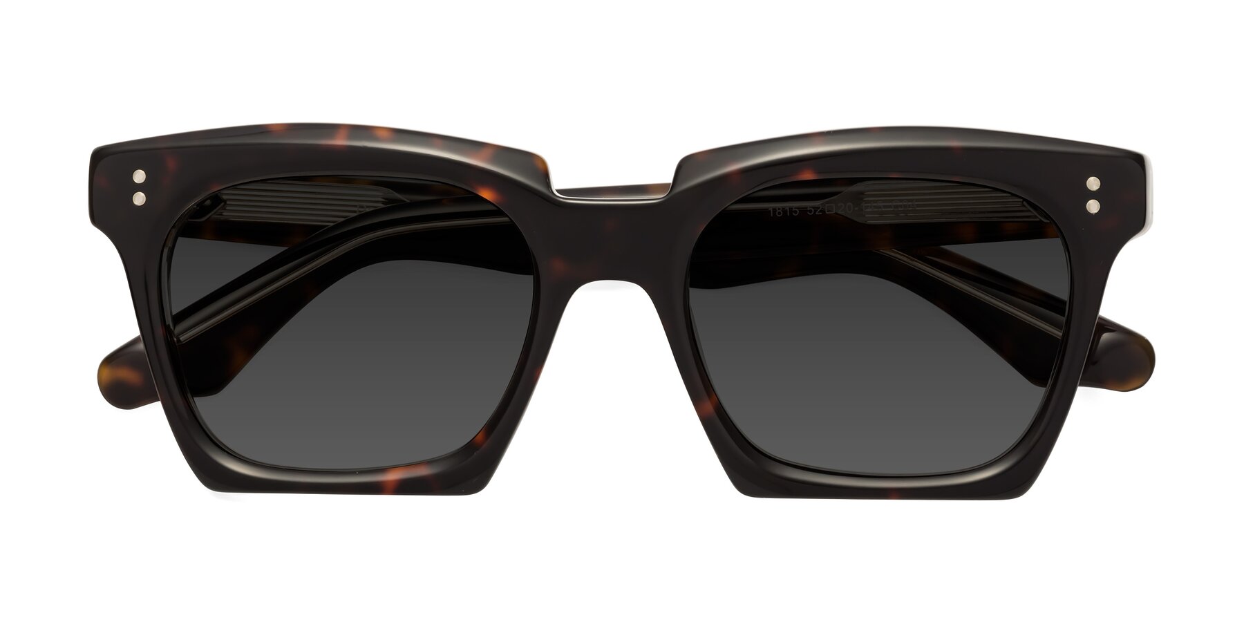 Folded Front of Donnie in Tortoise-Clear with Gray Tinted Lenses