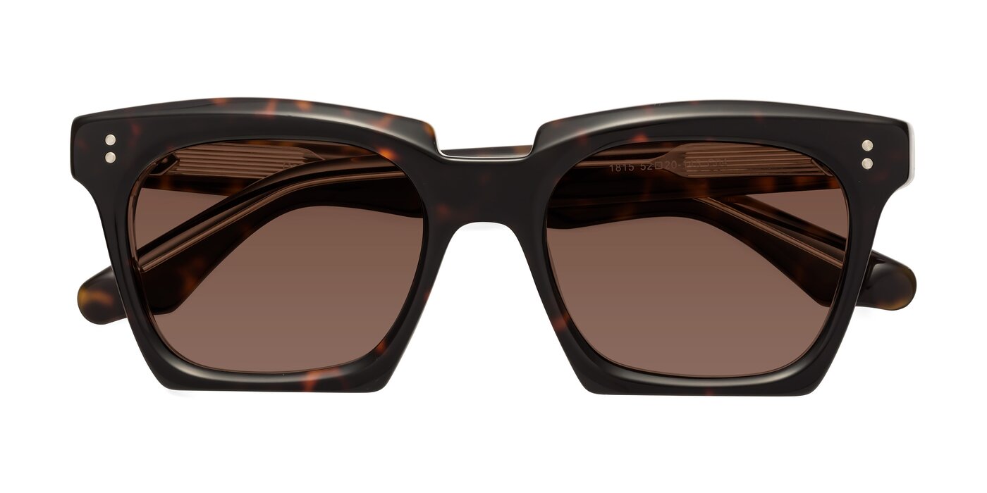 Donnie - Tortoise / Clear Tinted Sunglasses