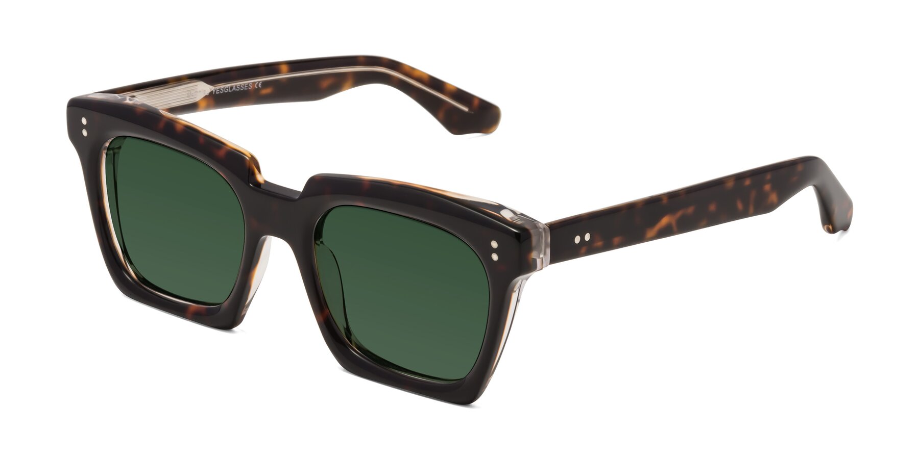 Angle of Donnie in Tortoise-Clear with Green Tinted Lenses
