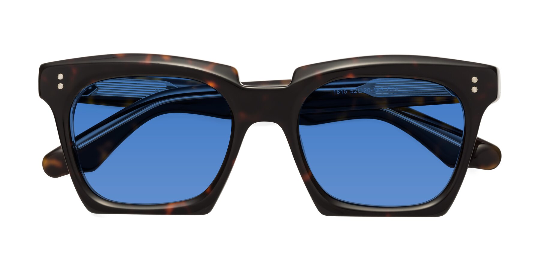 Folded Front of Donnie in Tortoise-Clear with Blue Tinted Lenses