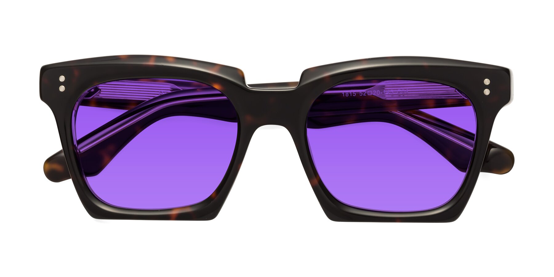 Folded Front of Donnie in Tortoise-Clear with Purple Tinted Lenses