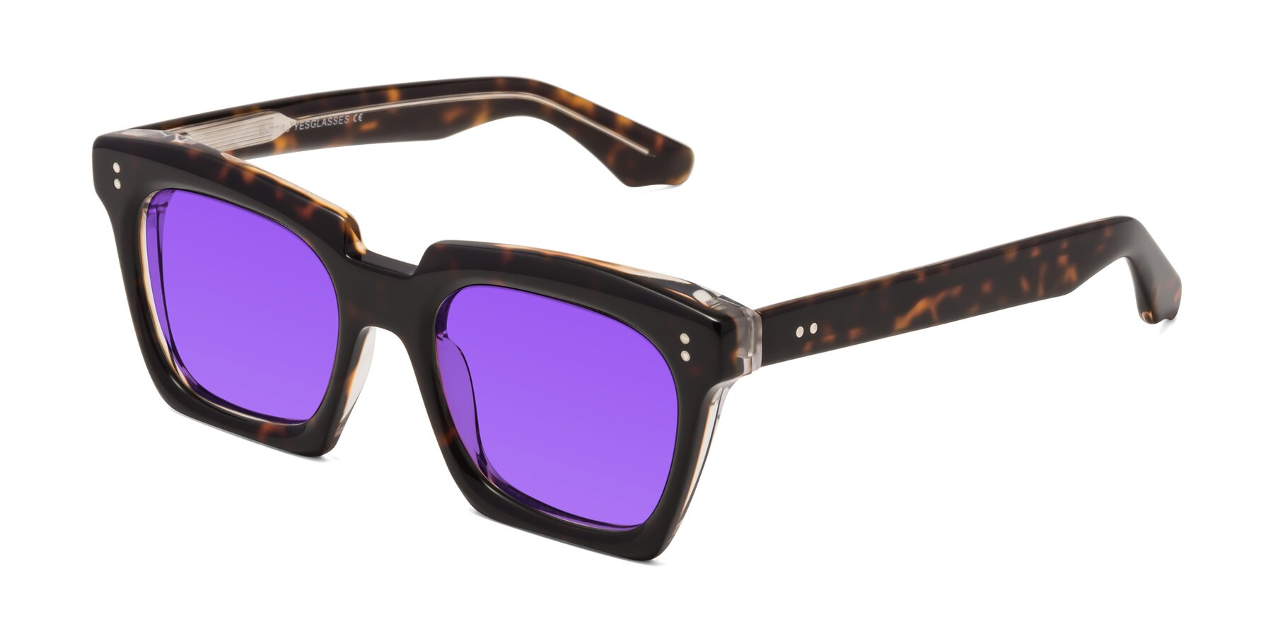 Angle of Donnie in Tortoise-Clear with Purple Tinted Lenses