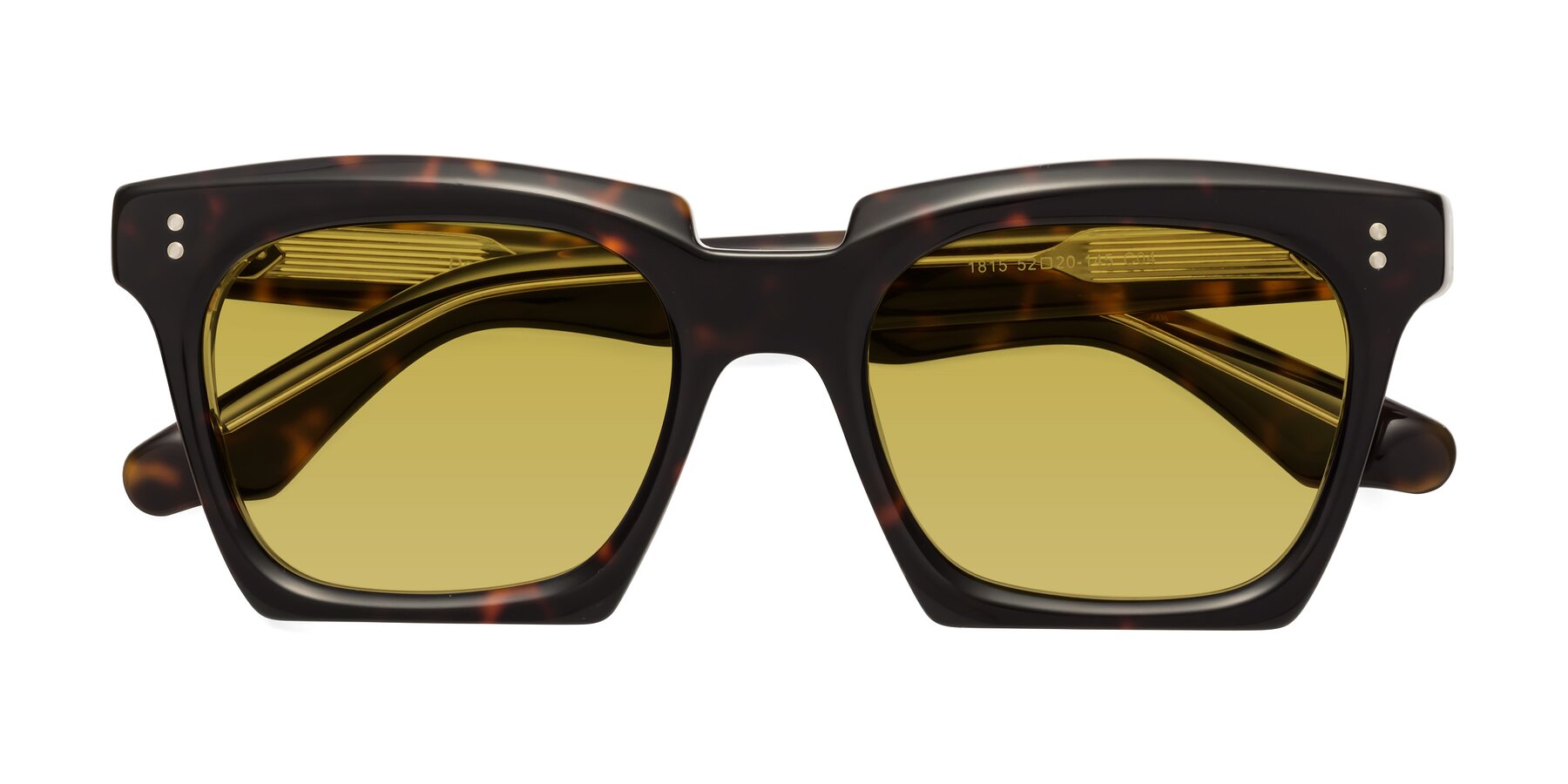 Folded Front of Donnie in Tortoise-Clear with Champagne Tinted Lenses