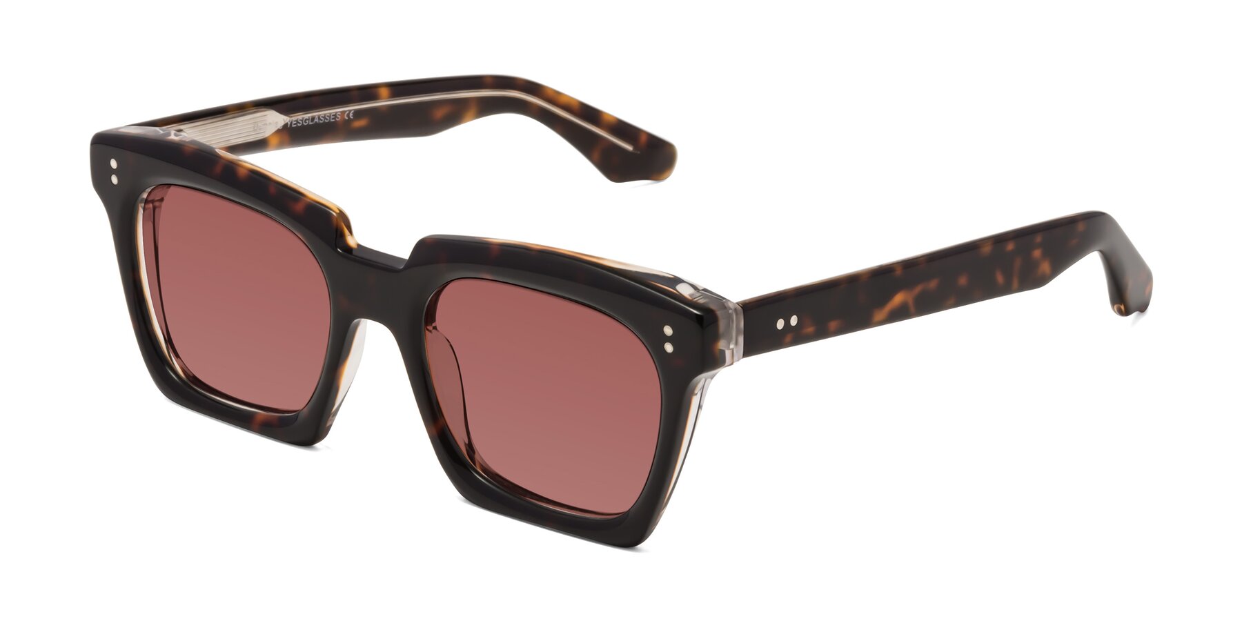 Angle of Donnie in Tortoise-Clear with Garnet Tinted Lenses