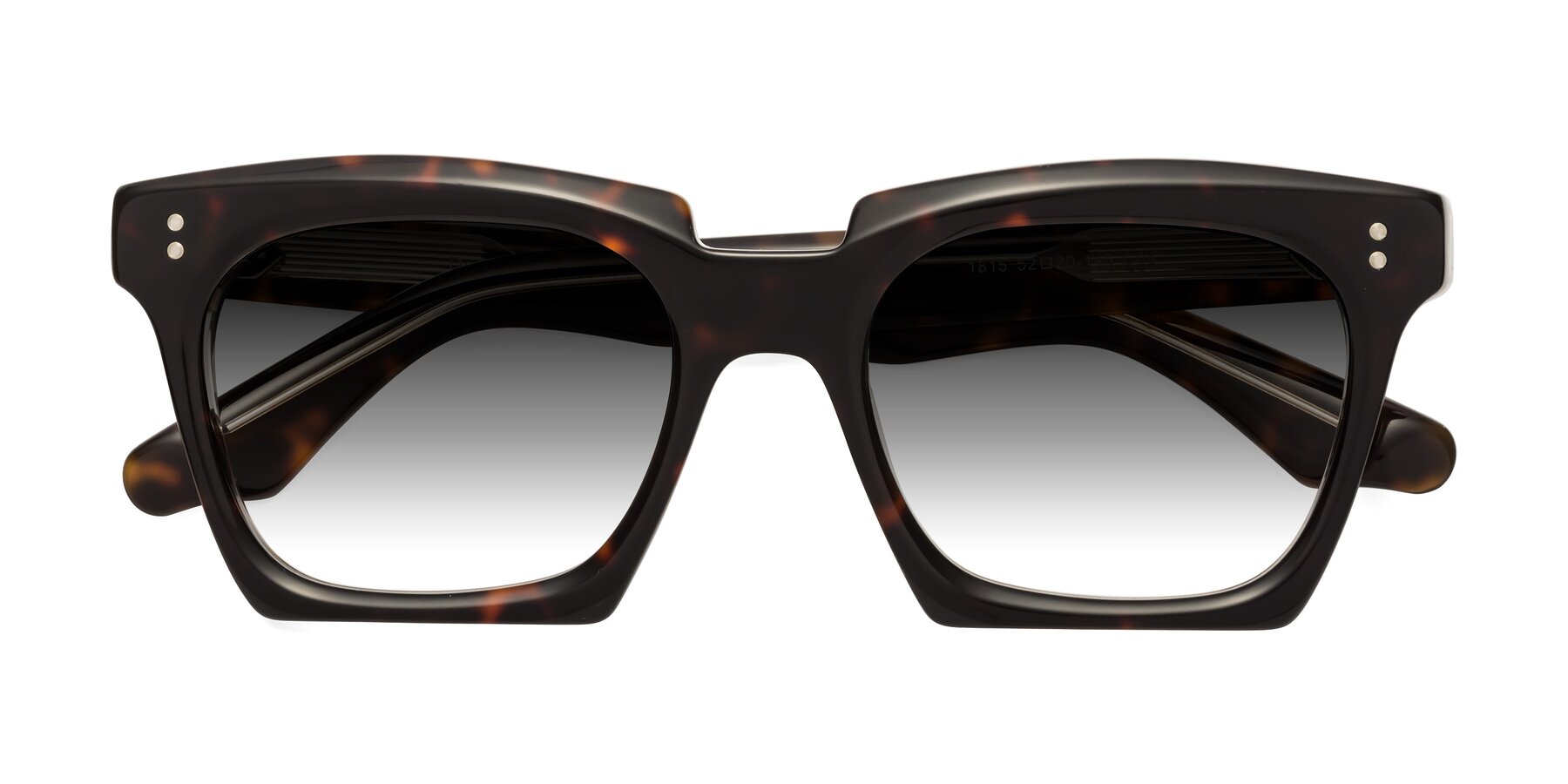 Folded Front of Donnie in Tortoise-Clear with Gray Gradient Lenses