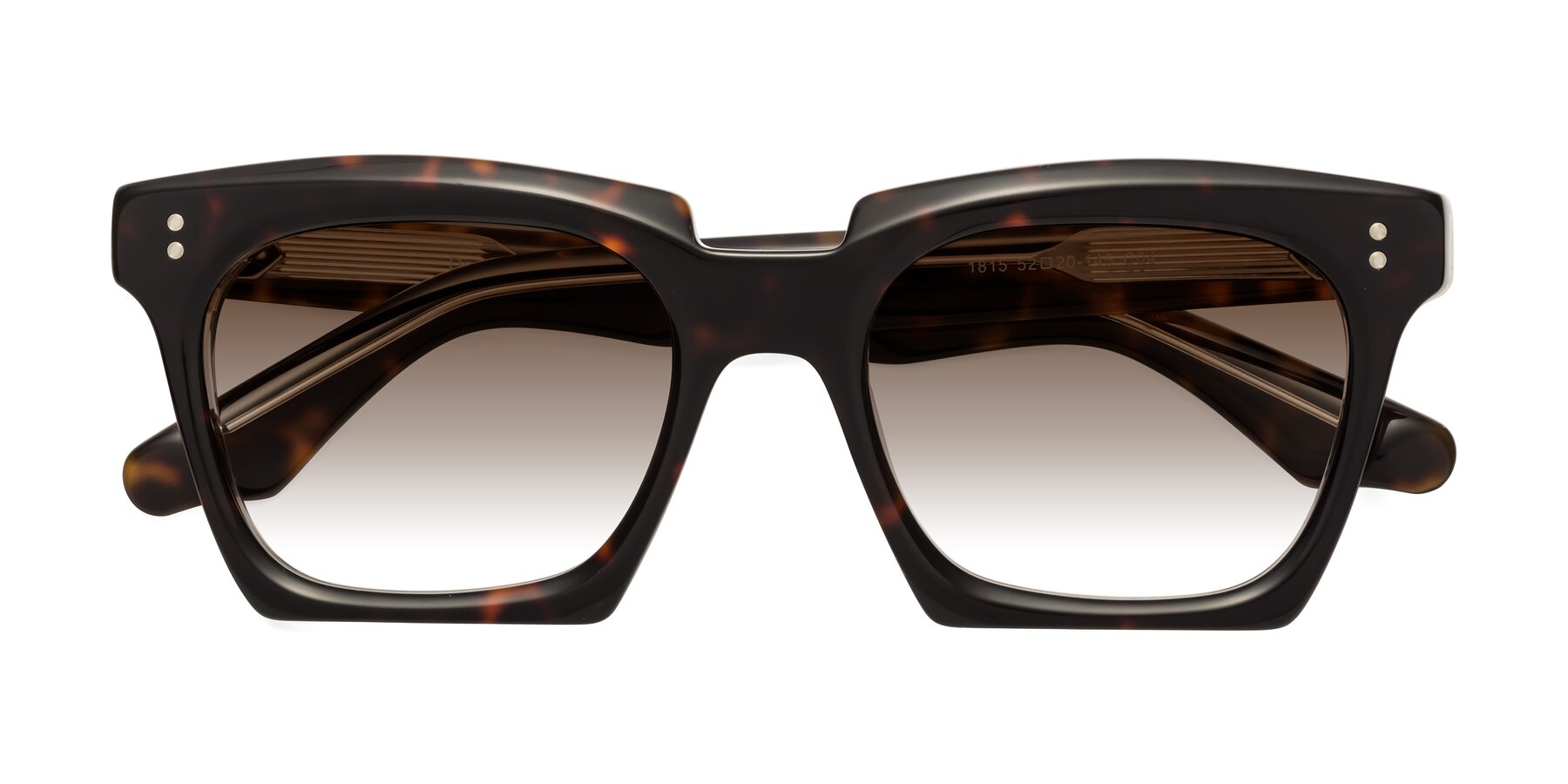 Folded Front of Donnie in Tortoise-Clear with Brown Gradient Lenses